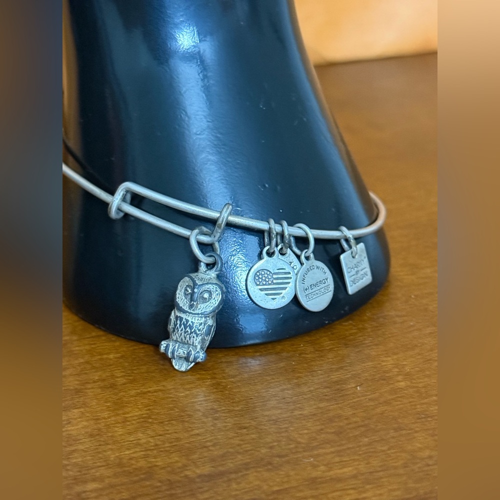 ALEX And ANI Ode to the Owl Silver Tone Charm Bracelet